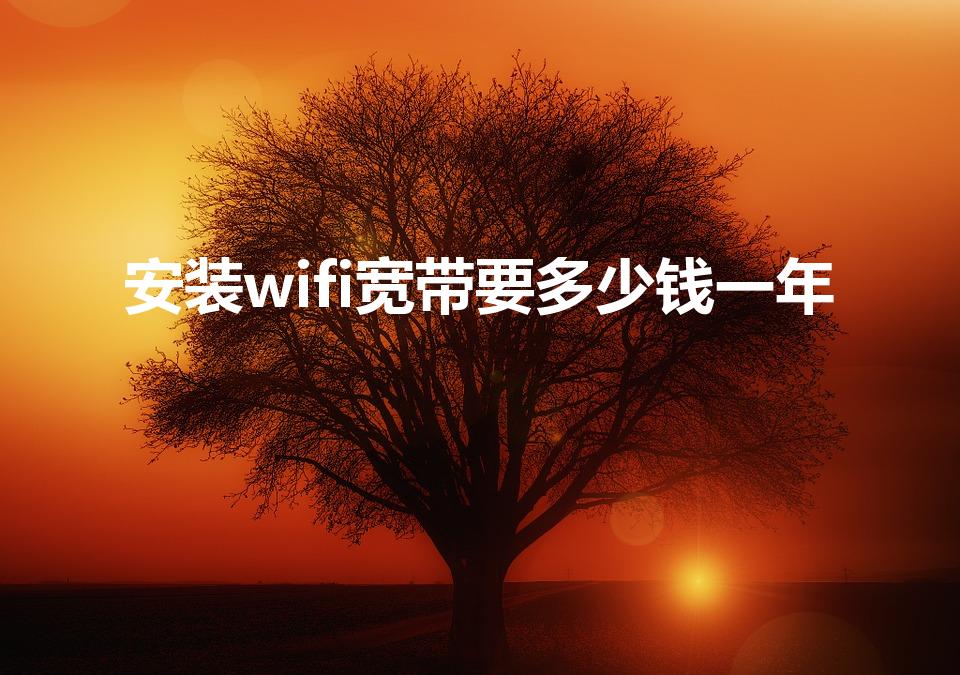 安装wifi宽带要多少钱一年（安装宽带一般需要多少钱）