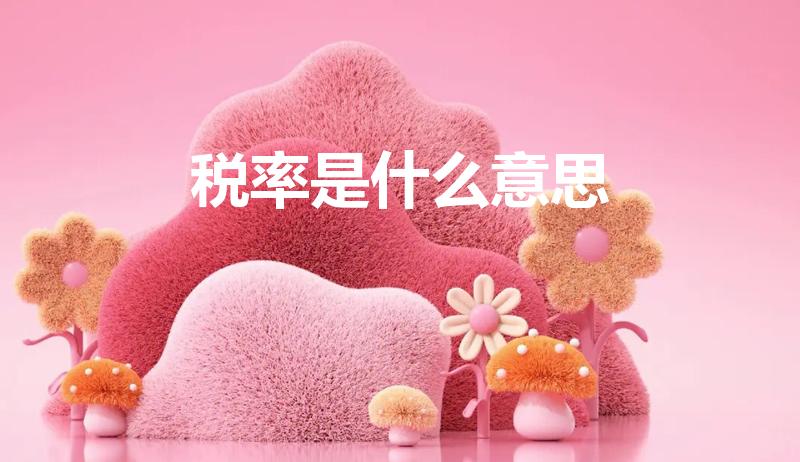 税率是什么意思（什么叫税率）