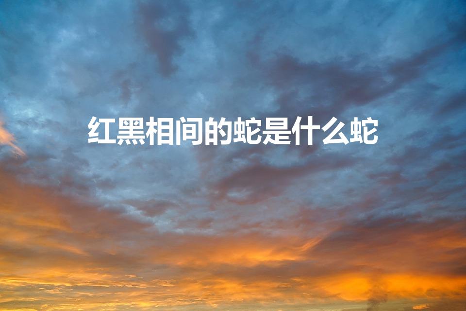 红黑相间的蛇是什么蛇（黑红蛇是什么蛇）