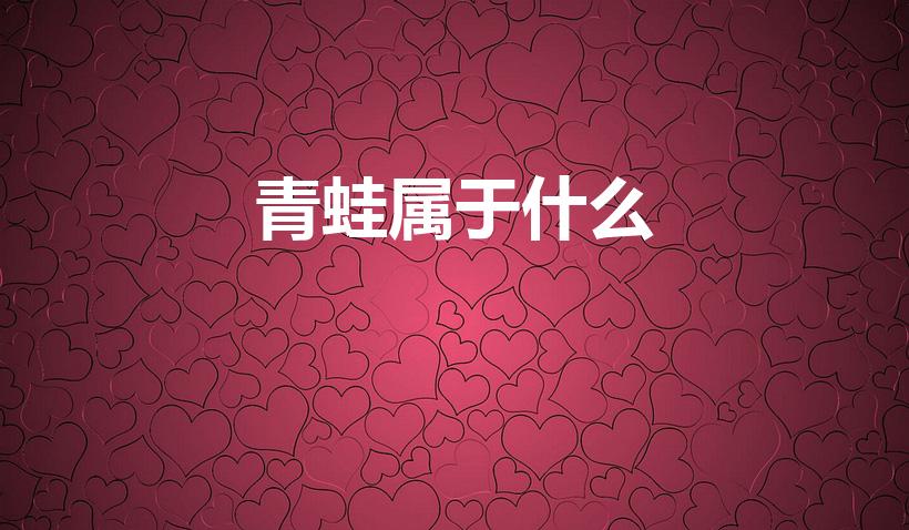青蛙属于什么（青蛙是什么类动物）