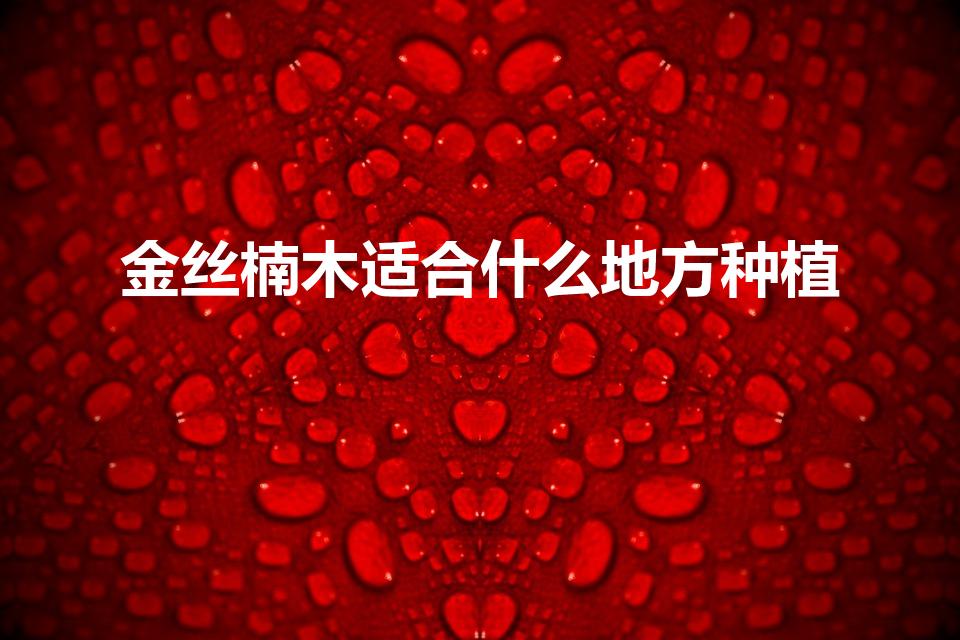 金丝楠木适合什么地方种植（金丝楠木适合哪里种植）