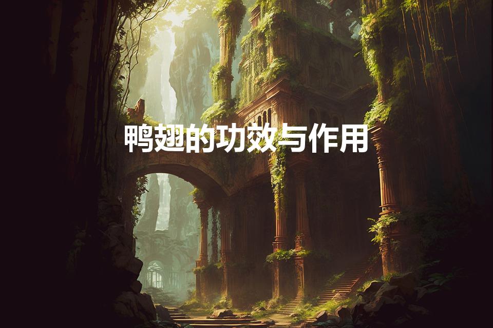 鸭翅的功效与作用（鸭翅是什么）