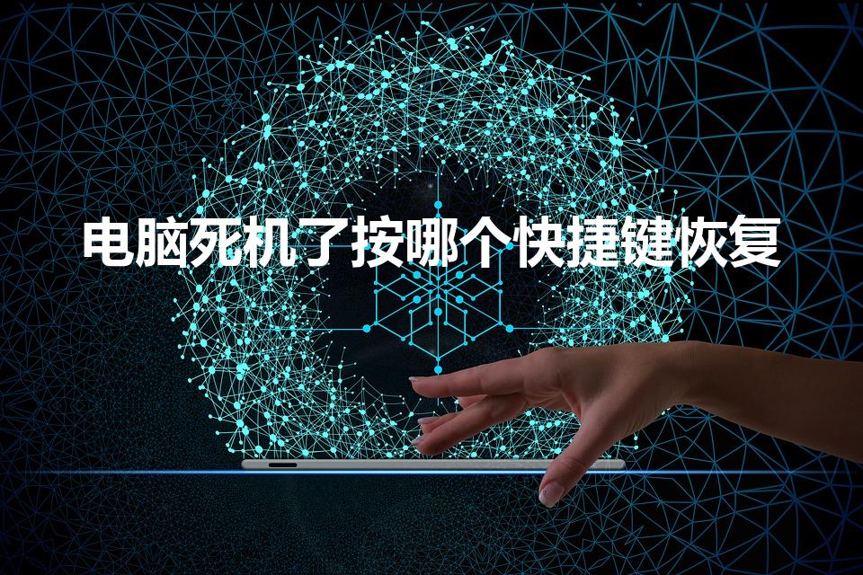 电脑死机了按哪个快捷键恢复（电脑死机时按哪些键可以恢复）
