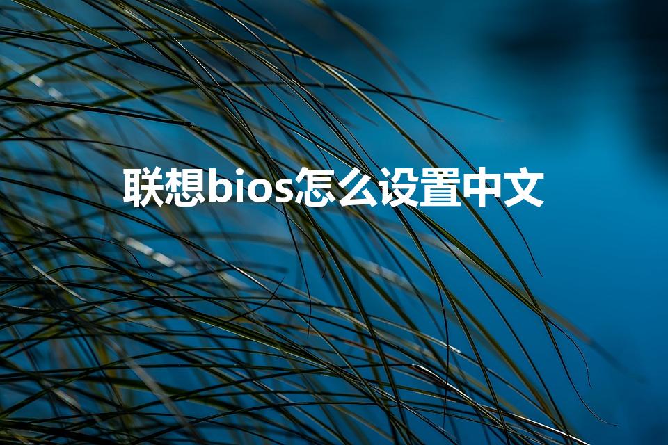 联想bios怎么设置中文（联想拯救者bios设置中文）