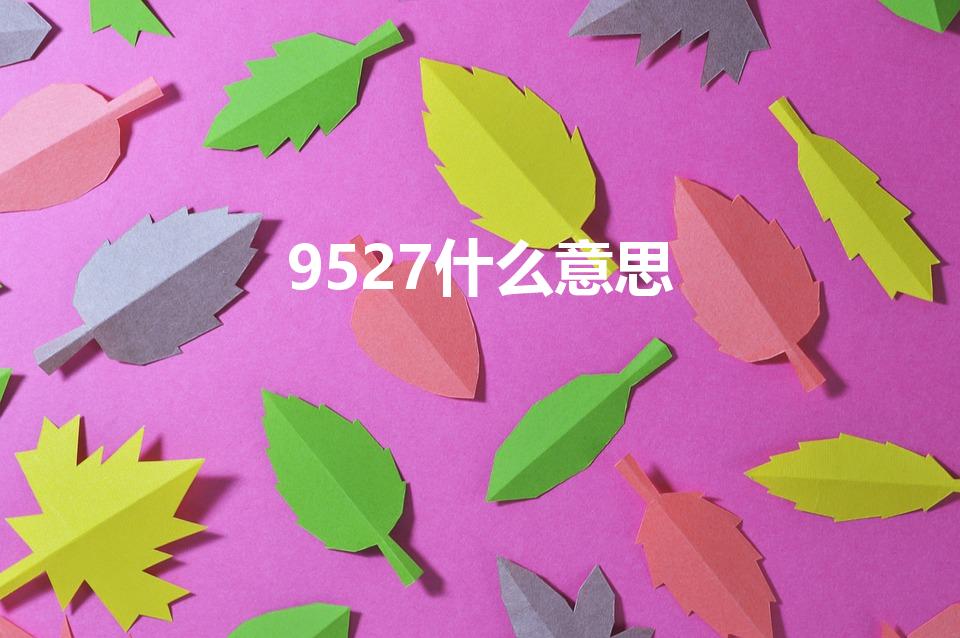 9527什么意思（9527真正的含义是什么）