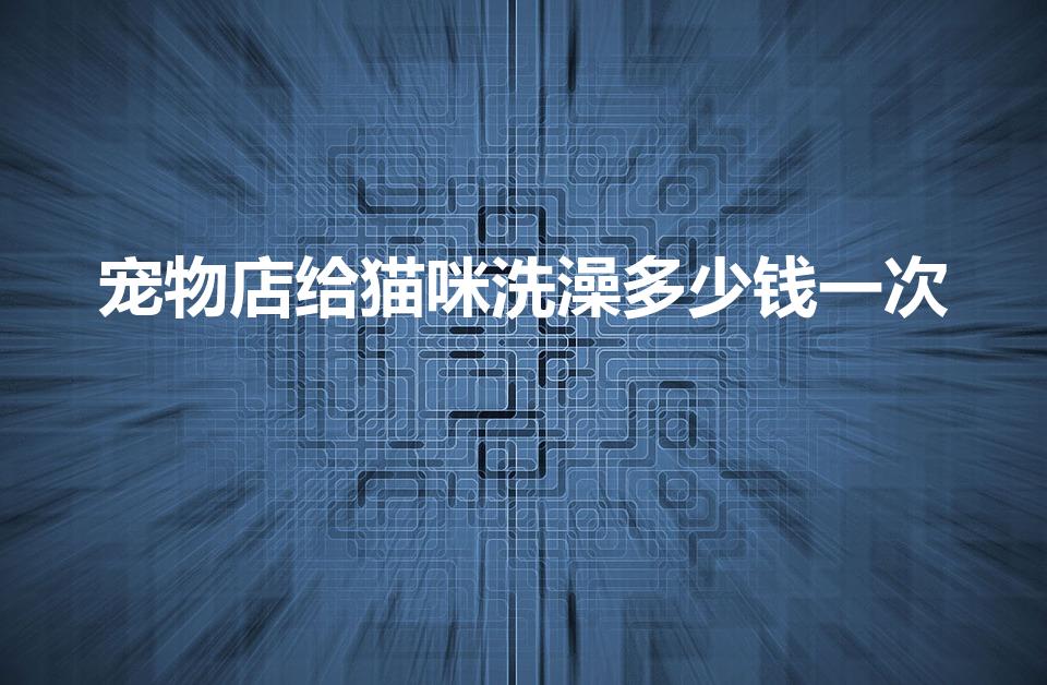 宠物店给猫咪洗澡多少钱一次（猫洗澡多少钱一般）