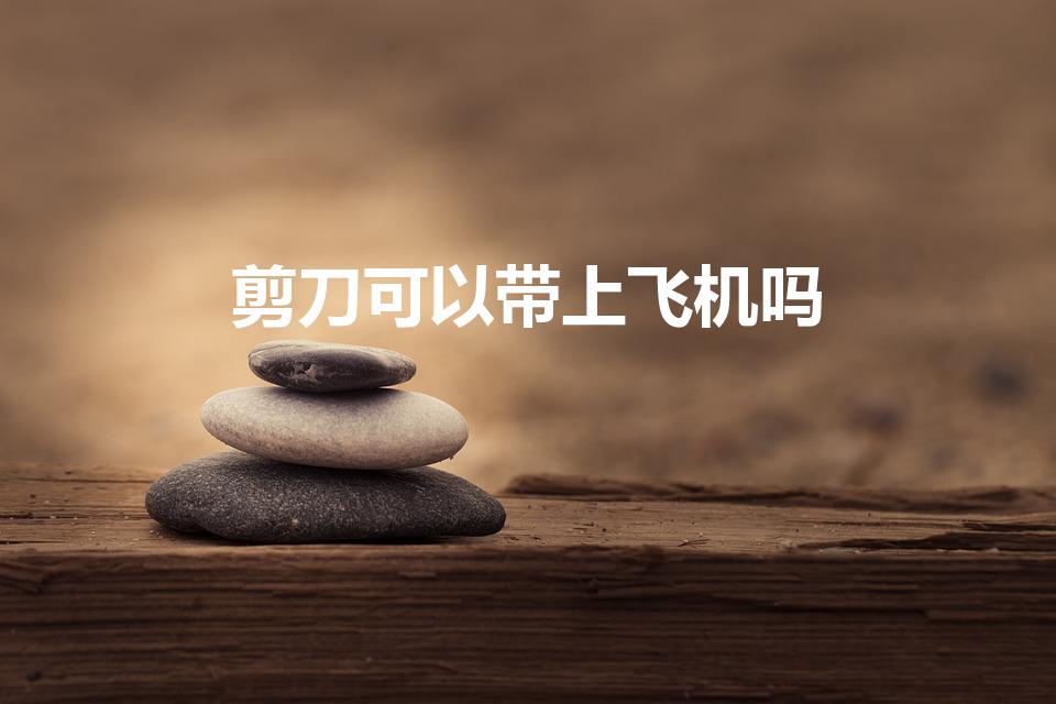 剪刀可以带上飞机吗（坐飞机可以带剪刀上去吗）