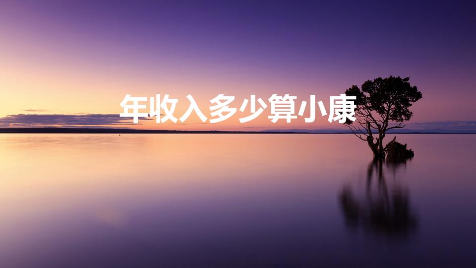 年收入多少算小康（家庭人均年收入多少算小康）