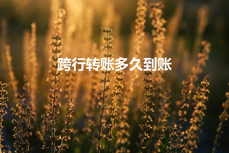 跨行转账多久到账（银行跨行转账要多久才能到账）