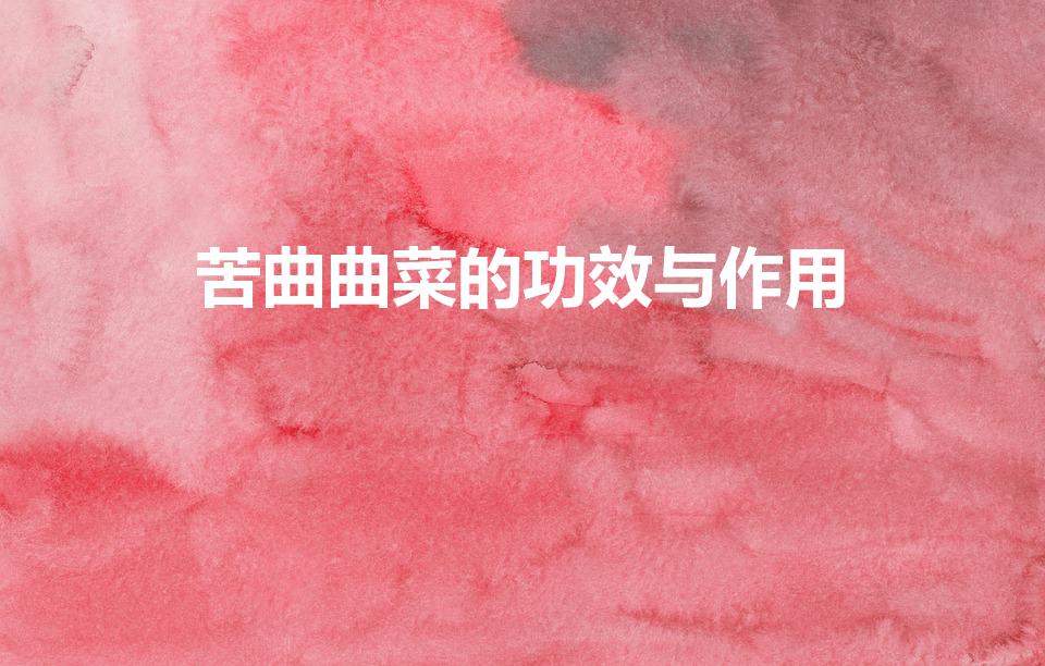 苦曲曲菜的功效与作用（曲曲菜的功效与作用）