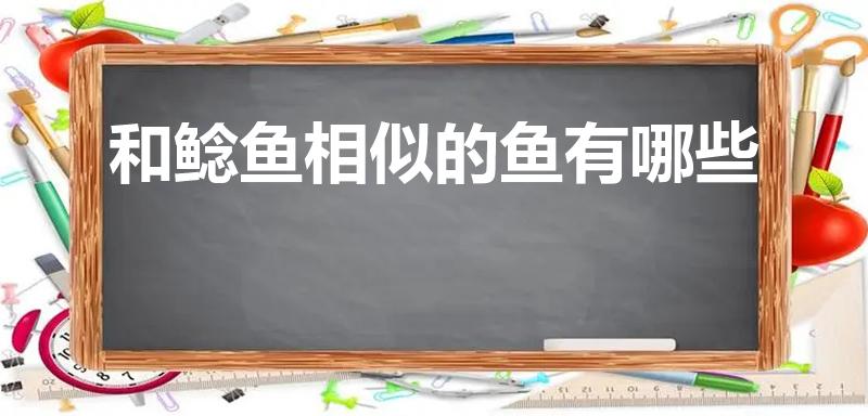 和鲶鱼相似的鱼有哪些（像鲶鱼一样的叫什么鱼）