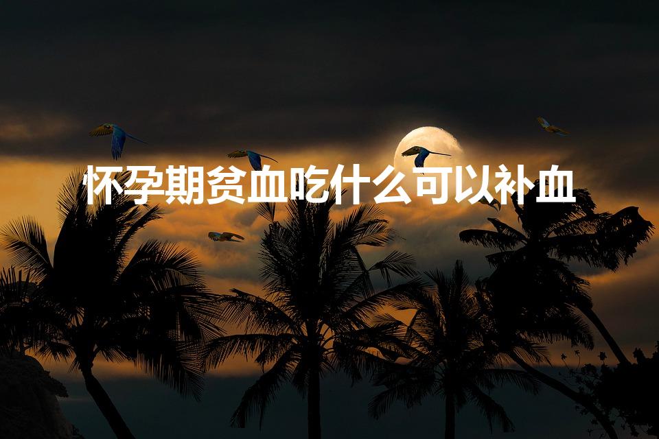 怀孕期贫血吃什么可以补血（孕妇贫血吃什么补血最快）
