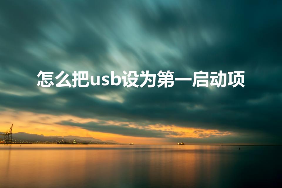 怎么把usb设为第一启动项