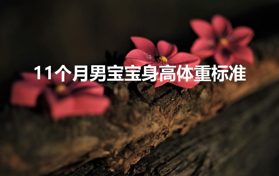 11个月男宝宝身高体重标准（11个月宝宝身高体重标准）