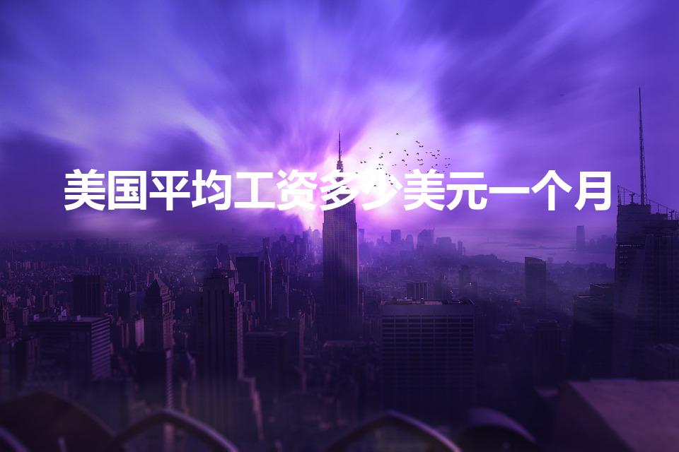 美国平均工资多少美元一个月（美国现在平均工资多少）
