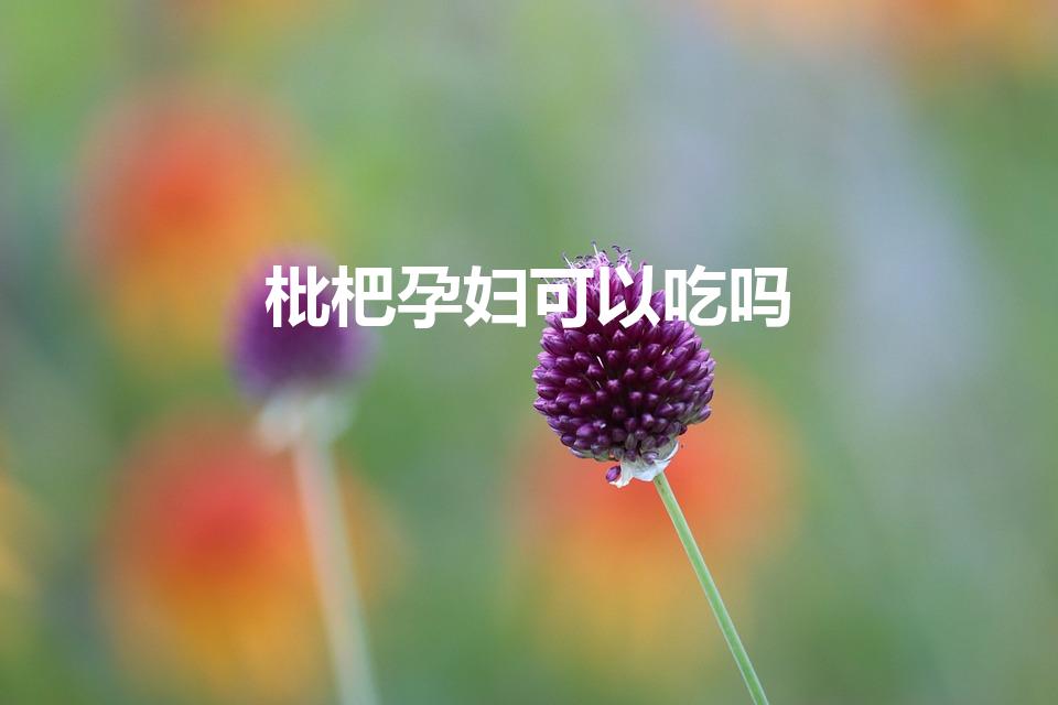 枇杷孕妇可以吃吗（怀孕可以吃枇杷吗）