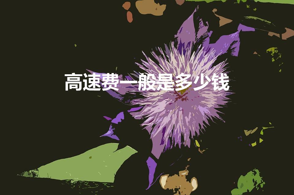 高速费一般是多少钱（高速路收费标准是多少）