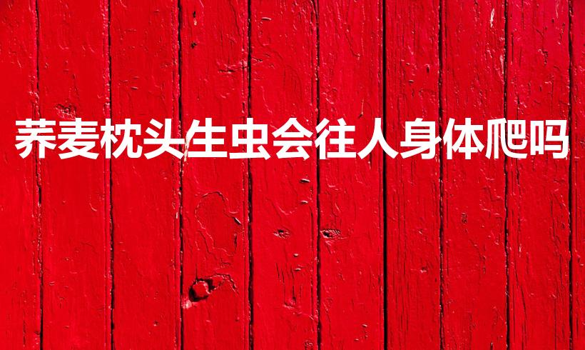 荞麦枕头生虫会往人身体爬吗（荞麦枕头生虫咬人吗）