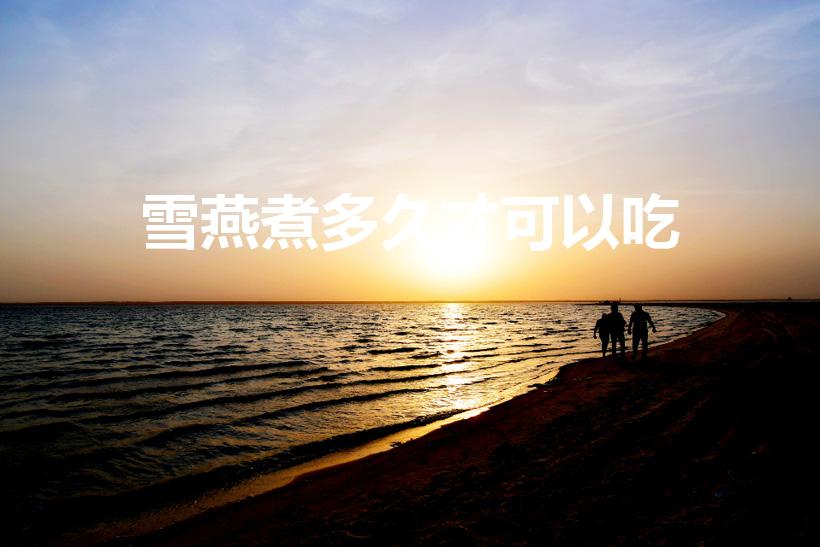 雪燕煮多久才可以吃（雪燕要炖多长时间呢）