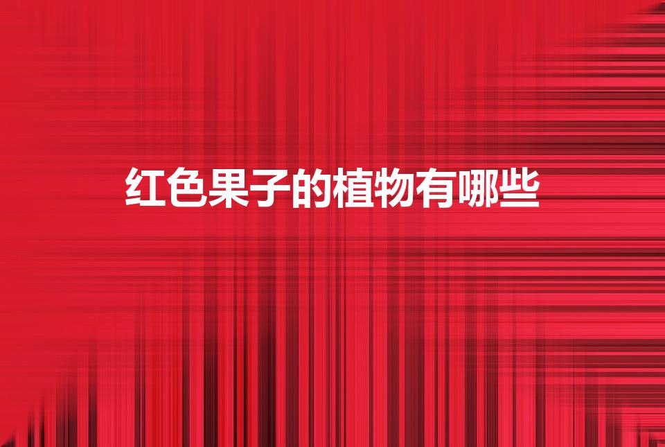 红色果子的植物有哪些（树上结一串串红色的果子）