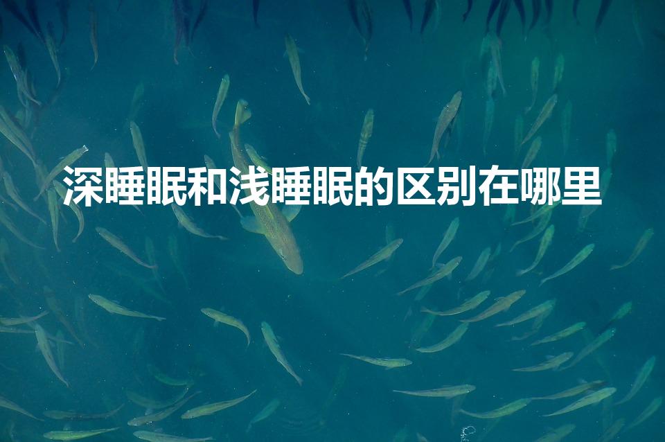 深睡眠和浅睡眠的区别在哪里（浅睡眠和深睡眠有什么区别）