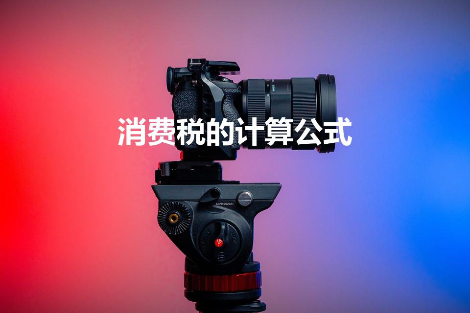 消费税的计算公式（消费税的三个公式是哪三个）