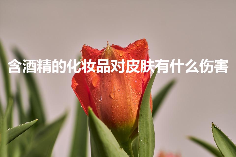含酒精的化妆品对皮肤有什么伤害
