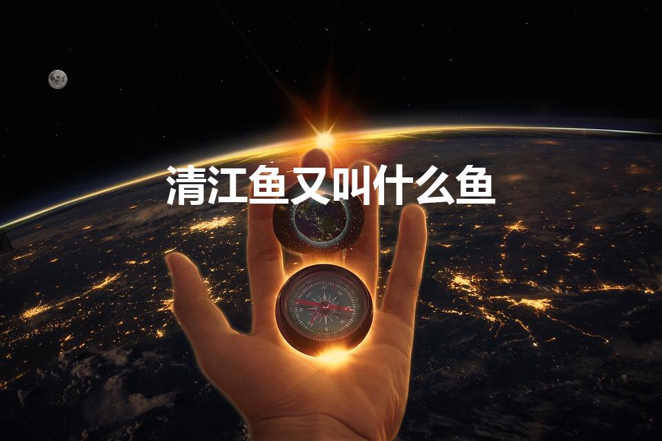 清江鱼又叫什么鱼（清江鱼为何改名为鮰鱼）