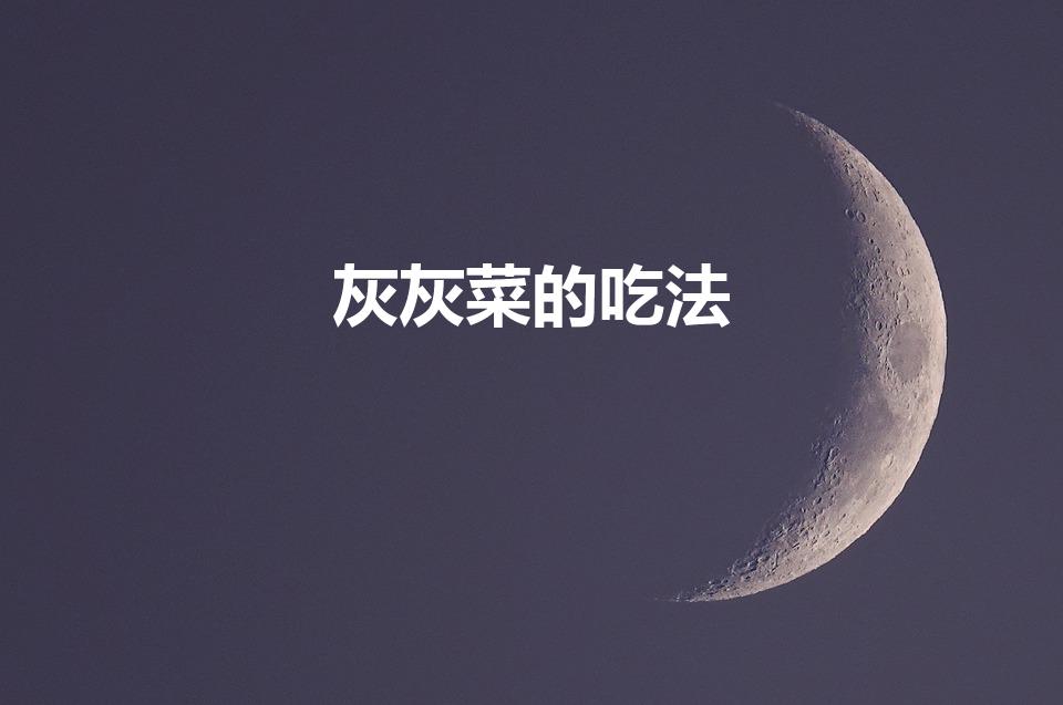 灰灰菜的吃法（灰灰菜怎么吃）