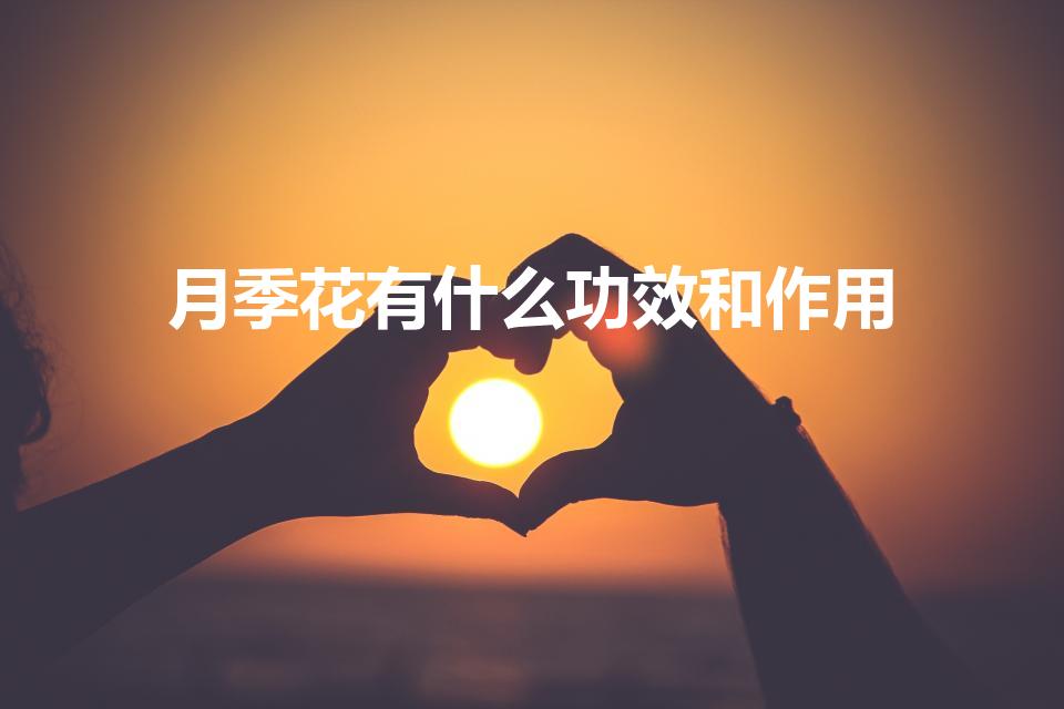 月季花有什么功效和作用（月季花的功效与作用）