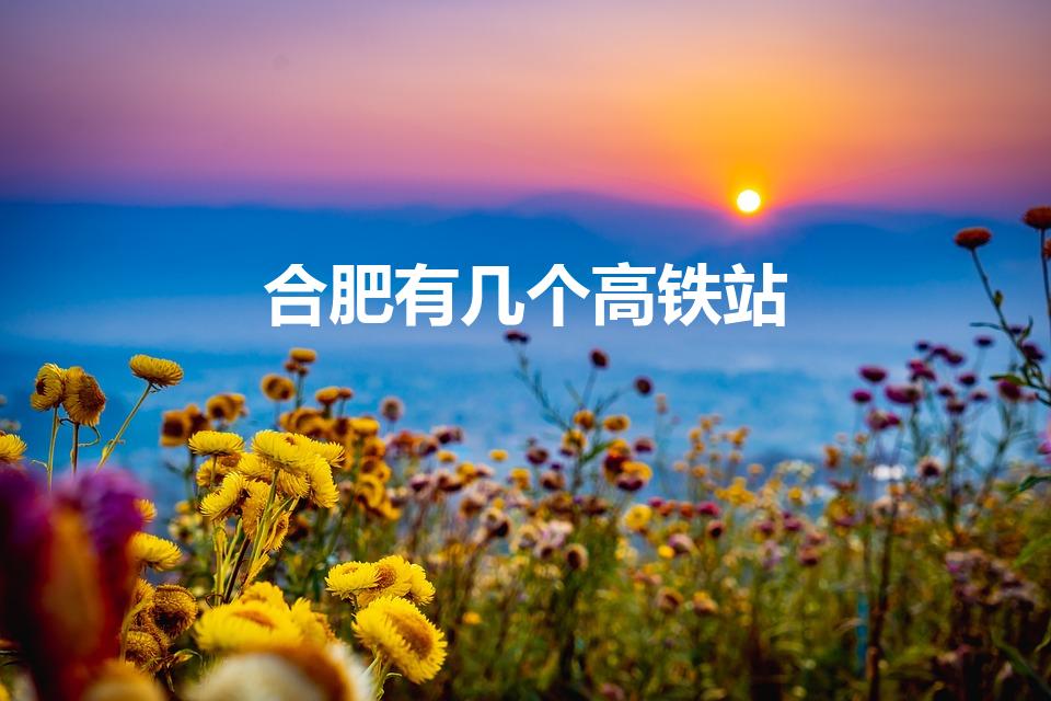 合肥有几个高铁站（安徽高铁站点有哪些）
