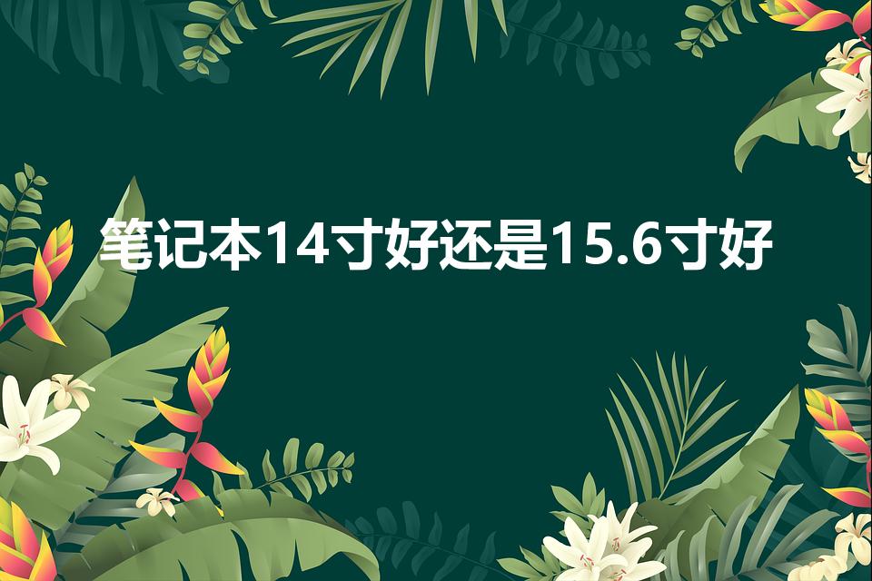 笔记本14寸好还是15.6寸好