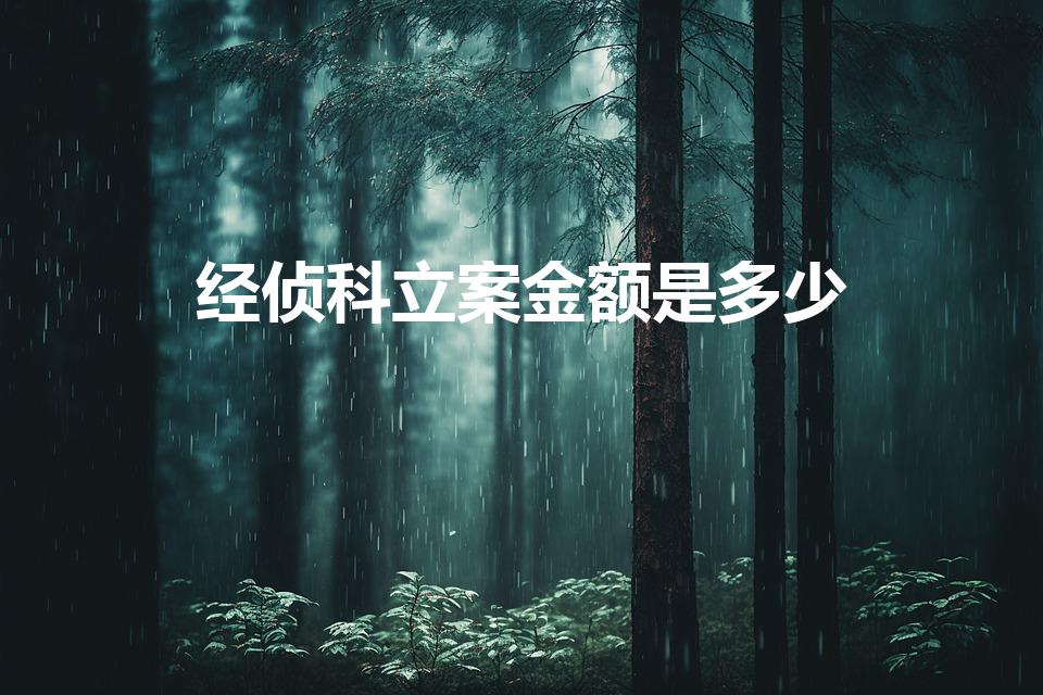 经侦科立案金额是多少（金额多少可报经侦立案）