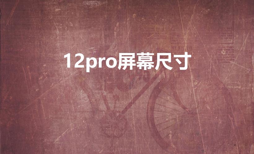 12pro屏幕尺寸（12pro多大尺寸）