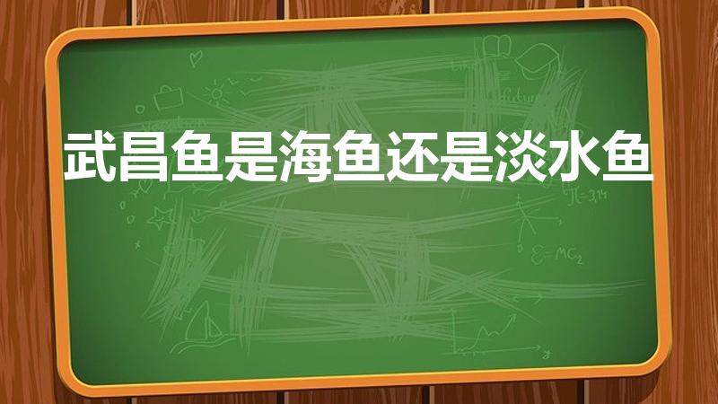 武昌鱼是海鱼还是淡水鱼（武昌鱼是海鱼吗,能养殖吗）