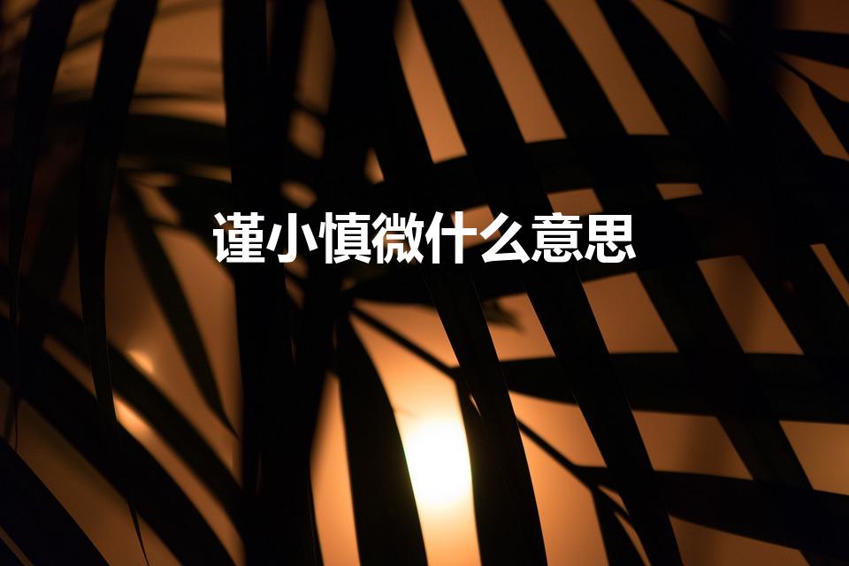 谨小慎微什么意思（谨小慎微什么意思 谨小慎微的解释）