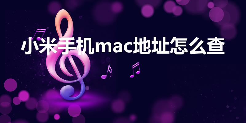 小米手机mac地址怎么查（小米手机怎么查看网卡mac地址）