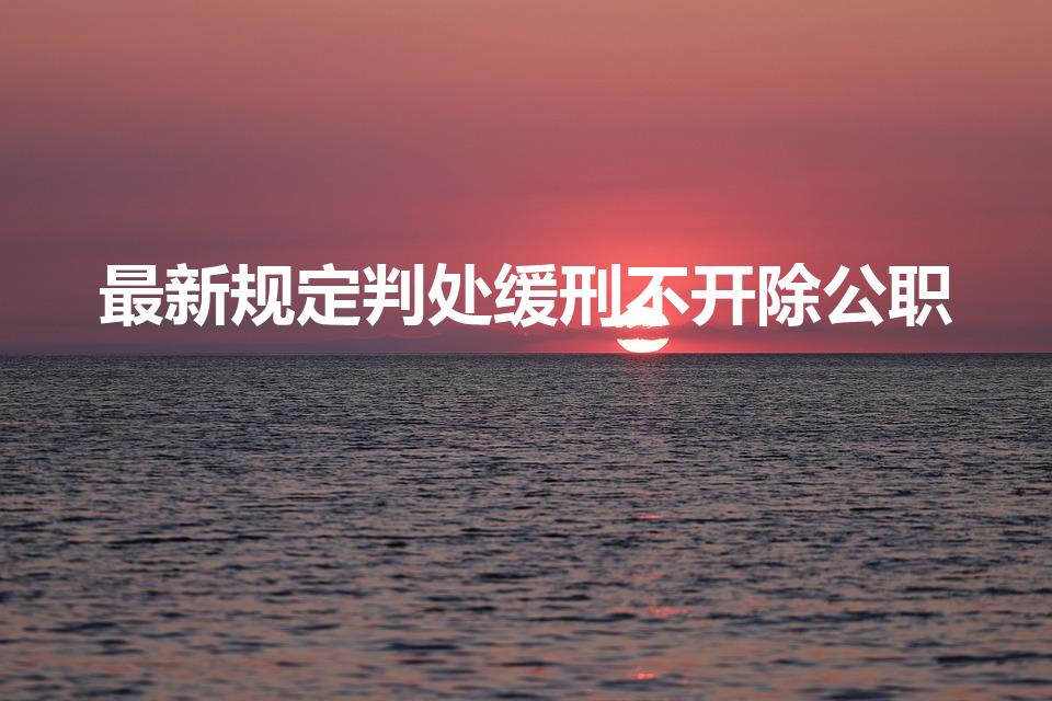 最新规定判处缓刑不开除公职（公务人员判缓刑开除公职吗）