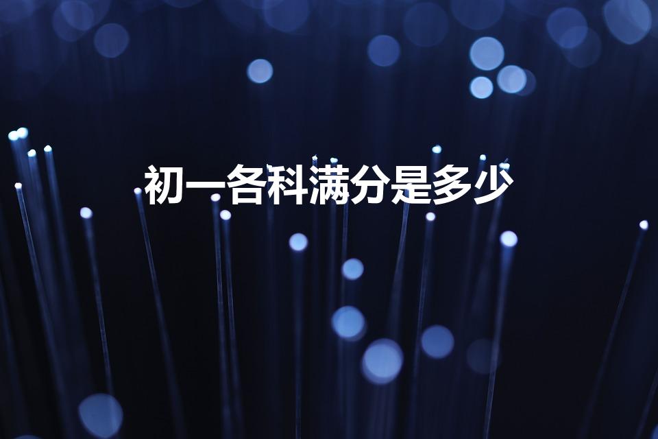 初一各科满分是多少（初一的各科考试总分是多少啊）