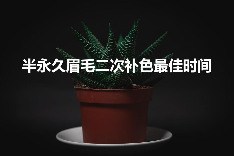 半永久眉毛二次补色最佳时间（半永久纹眉多久可以补色）