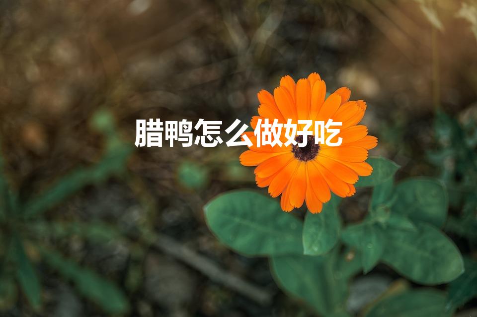 腊鸭怎么做好吃（腌制好的腊鸭肉怎么做好吃）