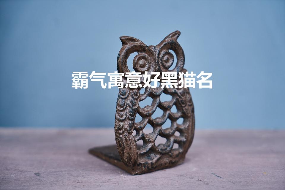 霸气寓意好黑猫名（好听的黑猫名字 好听的黑猫名字有哪些）