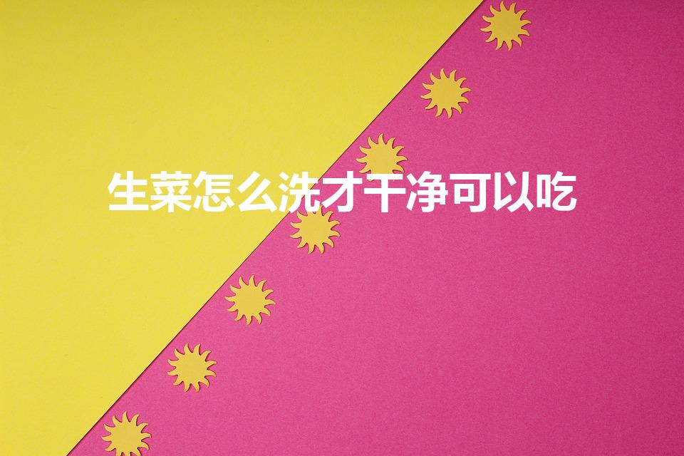 生菜怎么洗才干净可以吃（生吃生菜要怎么洗才干净）