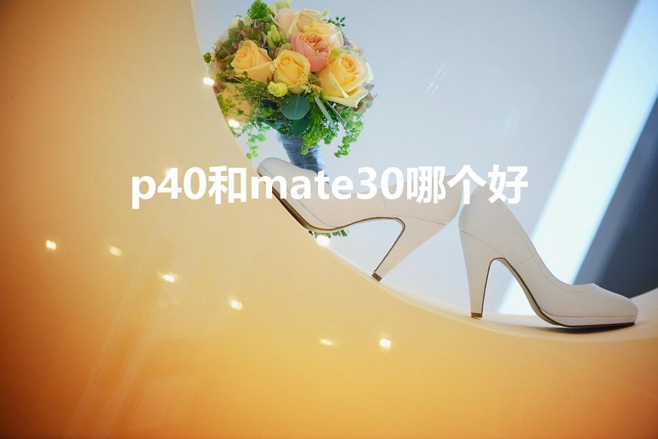 p40和mate30哪个好