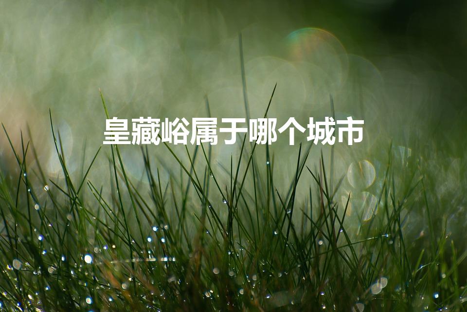 皇藏峪属于哪个城市（萧县属于哪个省哪个市）