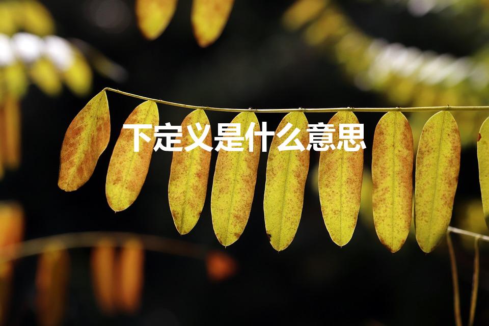 下定义是什么意思（下定义的意思下定义的意思是什么）
