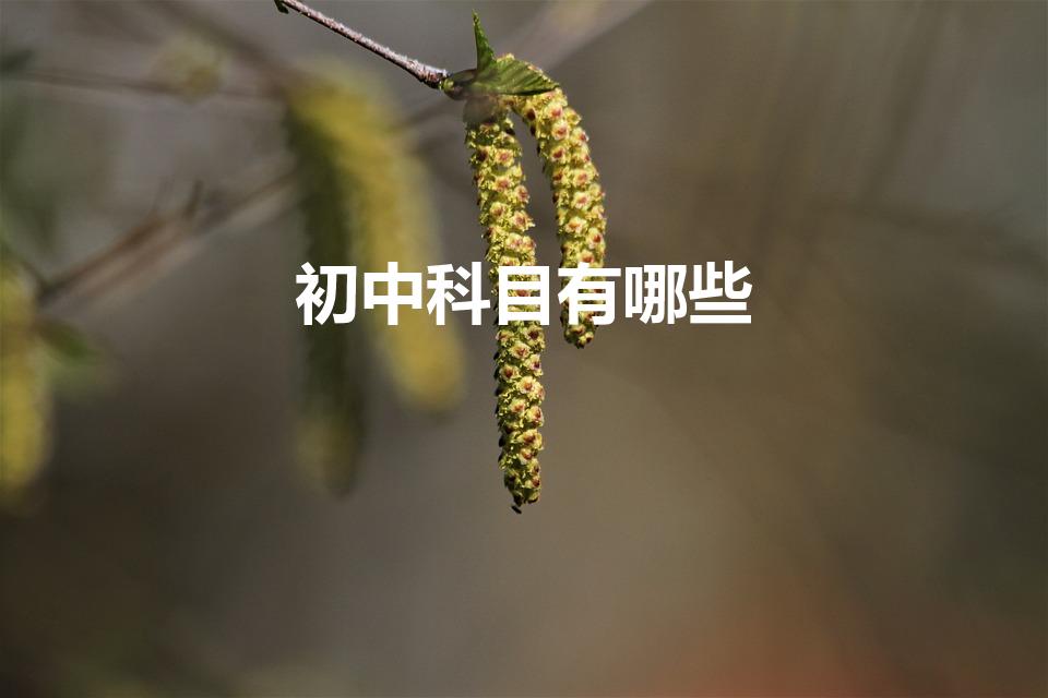 初中科目有哪些（初中课程有哪些）