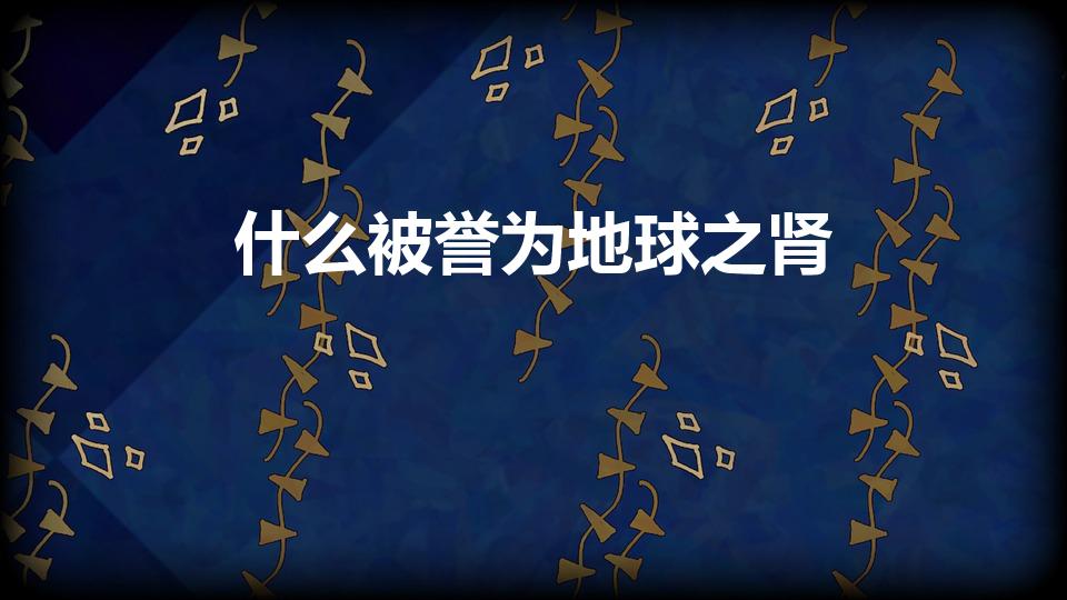 什么被誉为地球之肾（什么生态系统被称为地球之肾）