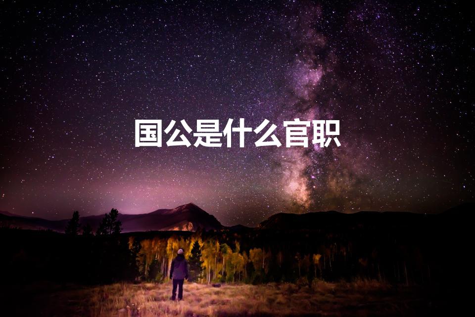 国公是什么官职（国公是什么官）