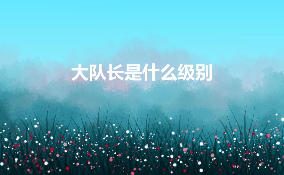 大队长是什么级别（公安大队长是什么级别）